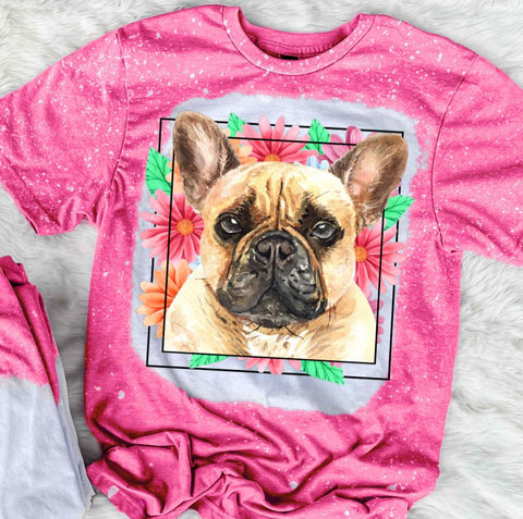 Frenchie Mama