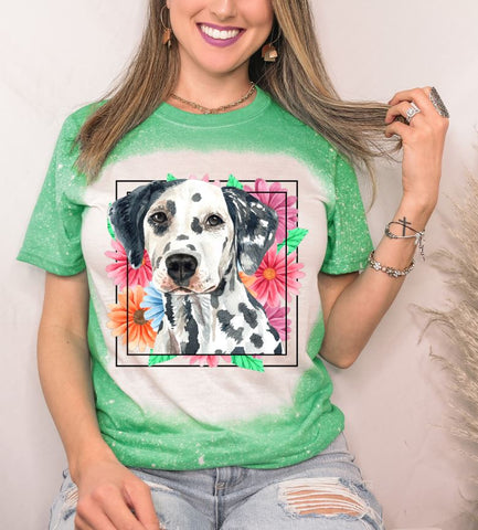 Dalmatian Mama