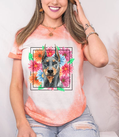 Doberman Mama