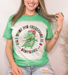 All I Want For Christmas Is A Dinosaur