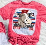 Barn In The USA