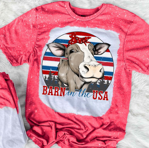 Barn In The USA