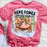 Here Comes Sandy Claws